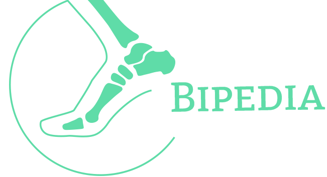 Bipedia Podologia